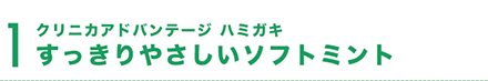 クリニカアドバンテージ ハミガキすっきりやさしいソフトミント