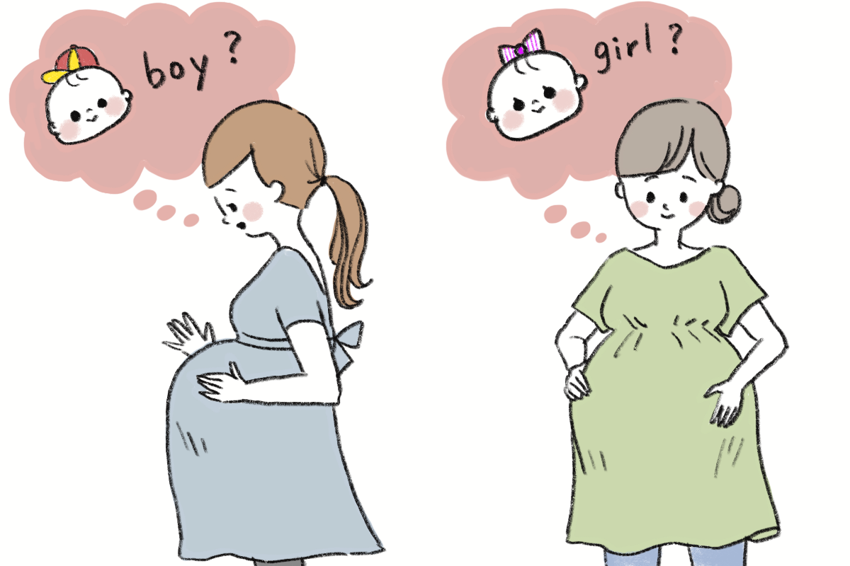 【医師監修】妊娠中の赤ちゃんの性別判明はいつ？どうわかるの？
